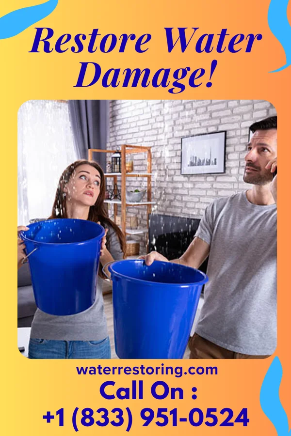 water restoration Best Mitigation Authority Pulaski